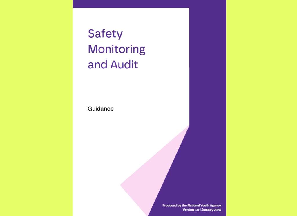 Safety Monitoring and Audit