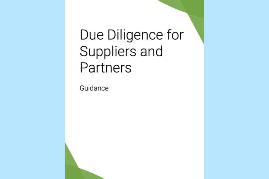 Due Diligence for Suppliers and Partners