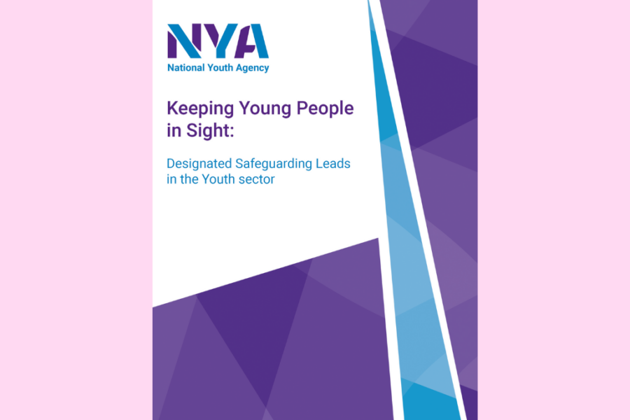 Keeping Young People in Sight: Designated Safeguarding Leads in the Youth Sector